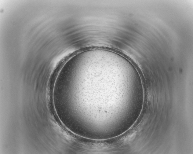 X0000088430979200705291521