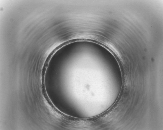 X0000088430980200705291521