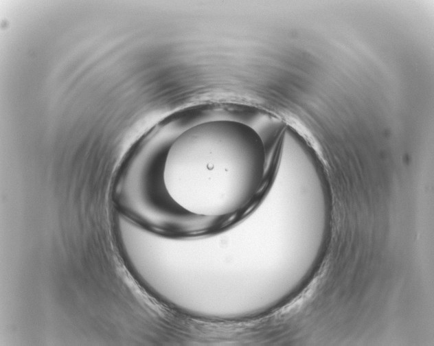 X0000088430981200705291521