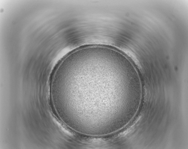 X0000088430982200705291520