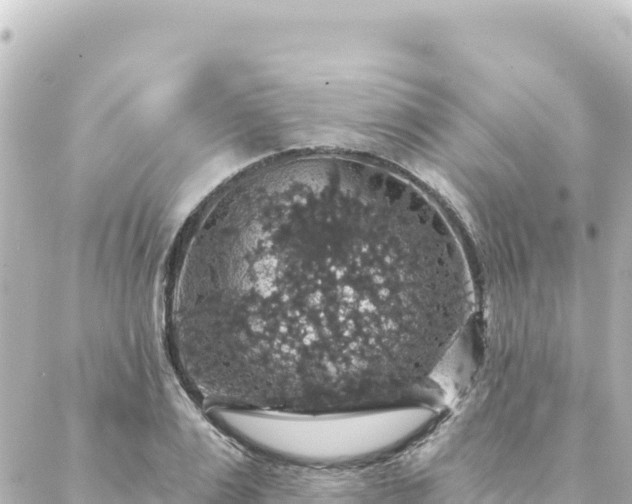 X0000088430983200705291520