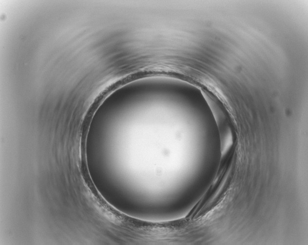 X0000088430984200705291520