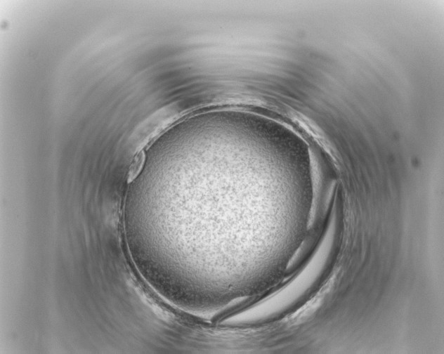 X0000088430985200705291520