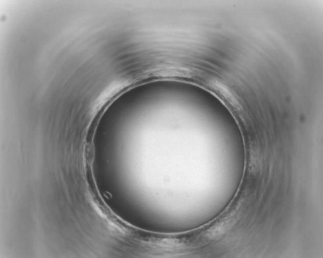 X0000088430986200705291520