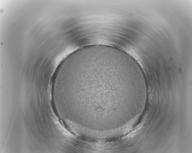 X0000088430987200705291520