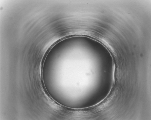 X0000088430988200705291520