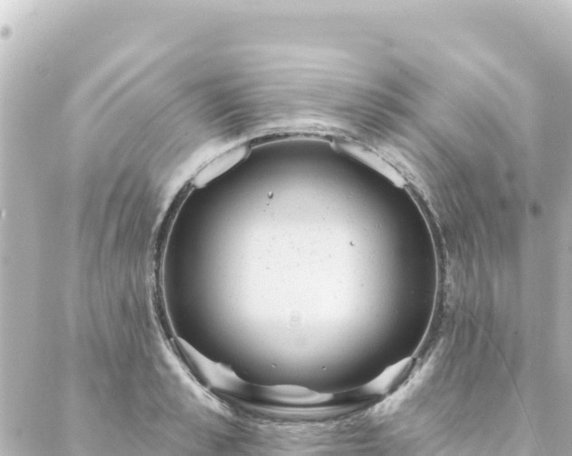 X0000088430989200705291520