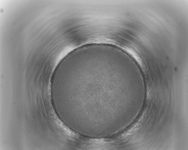 X0000088430990200705291520