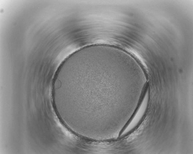 X0000088430991200705291520