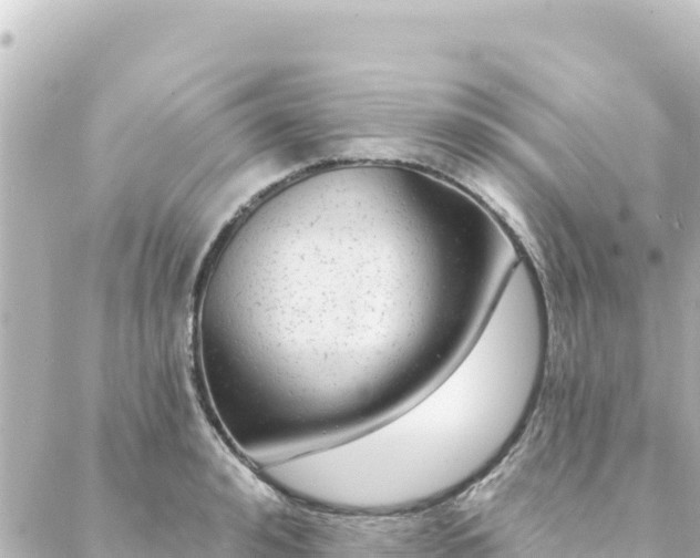 X0000088430992200705291520