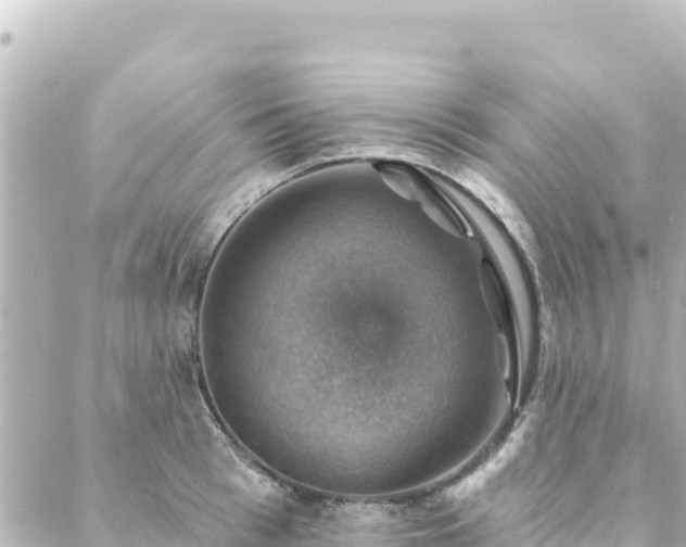 X0000088430993200705291520