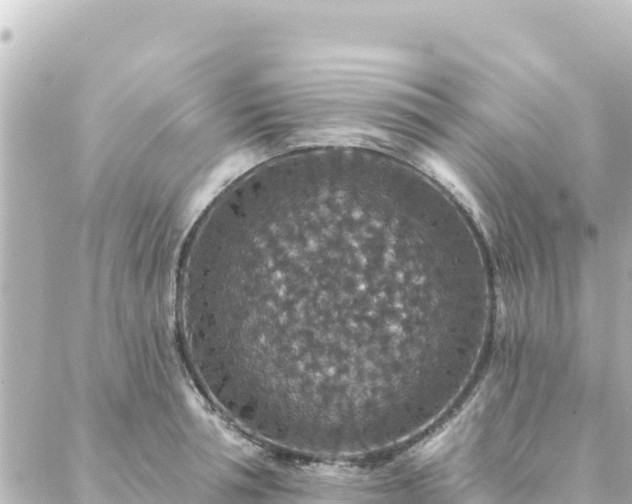 X0000088430994200705291520