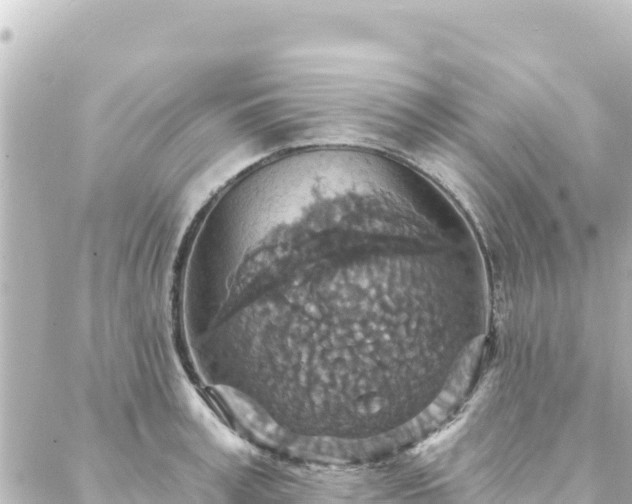 X0000088430995200705291520