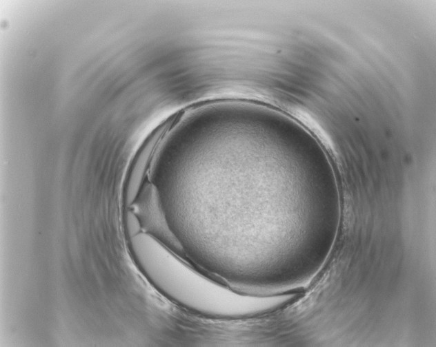 X0000088430996200705291520