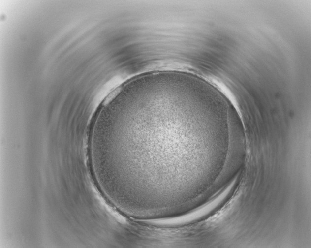 X0000088430997200705291520