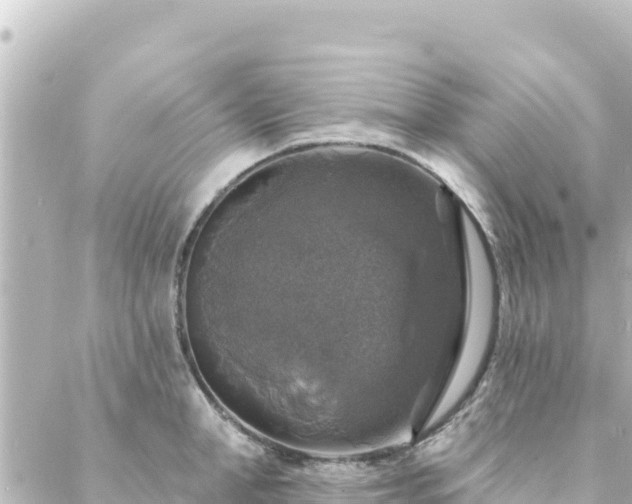 X0000088430998200705291520