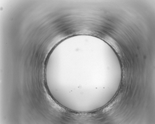 X0000088431000200705291520