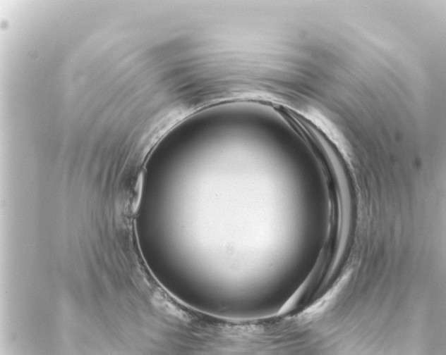 X0000088431001200705291520