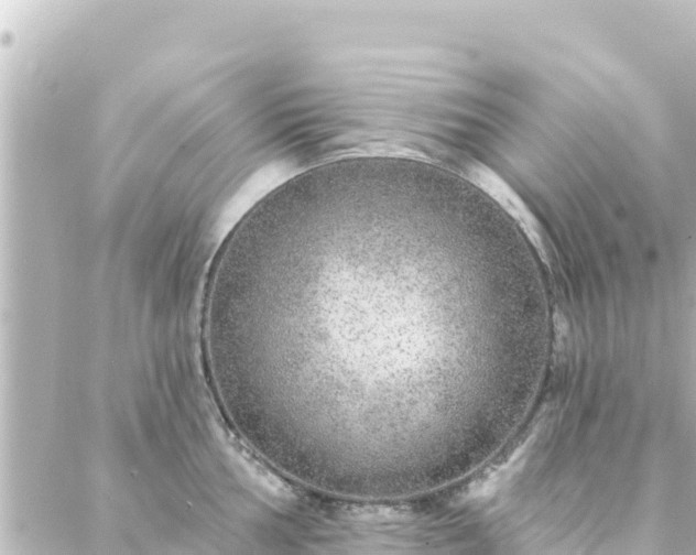 X0000088431002200705291520