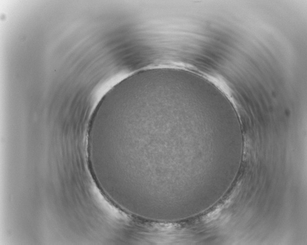 X0000088431003200705291520