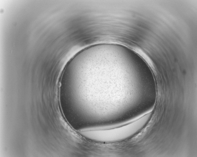 X0000088431004200705291520