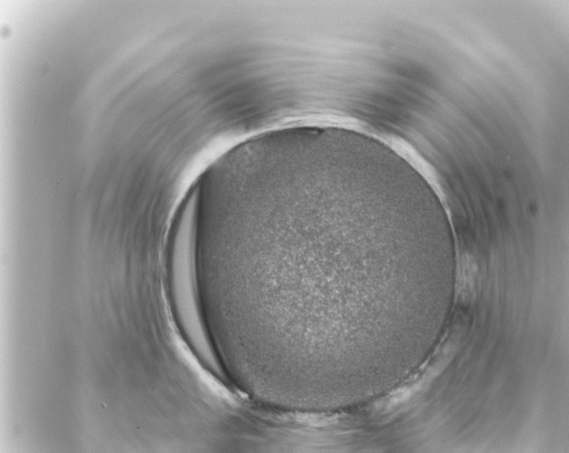 X0000088431005200705291520