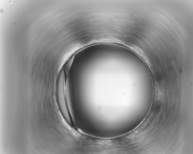 X0000088431006200705291520