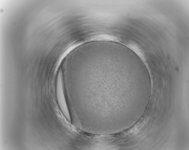 X0000088431008200705291520