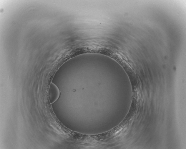 X0000088431009200705291519