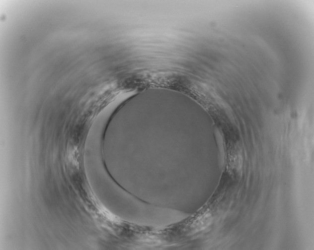 X0000088431010200705291519