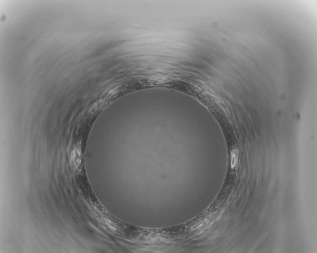 X0000088431011200705291519