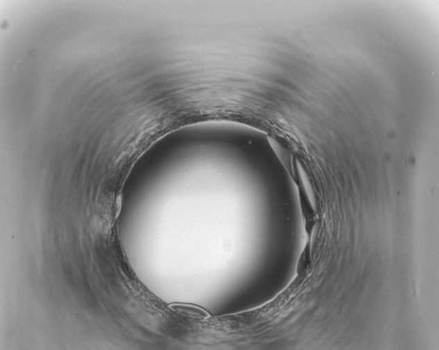 X0000088431012200705291519