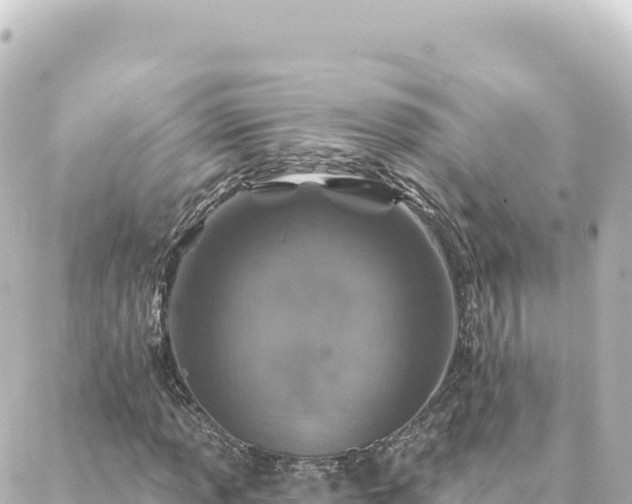 X0000088431013200705291519