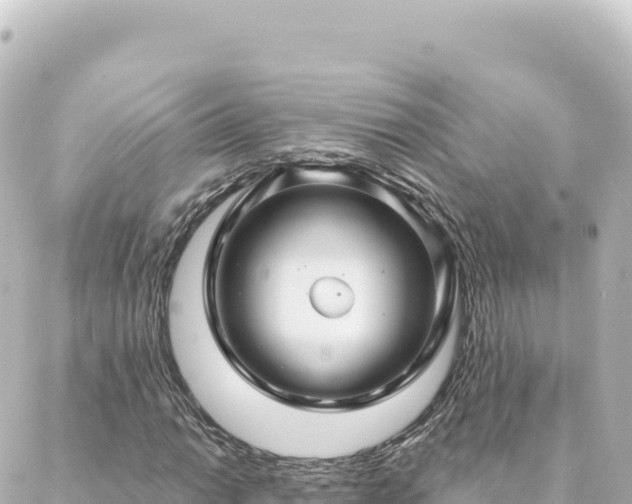 X0000088431014200705291519