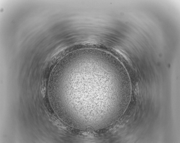 X0000088431015200705291519