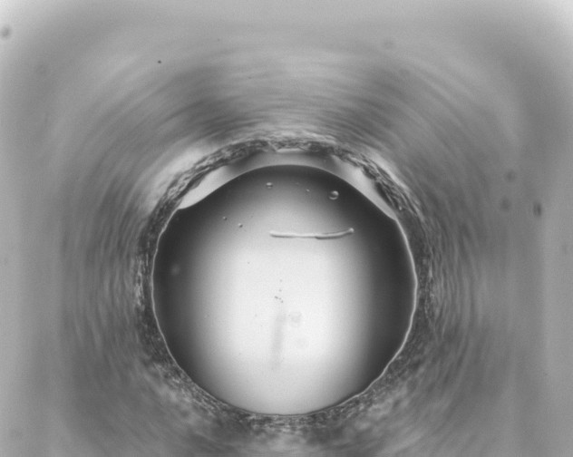 X0000088431016200705291519