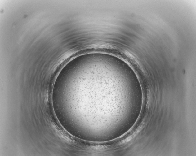 X0000088431017200705291519