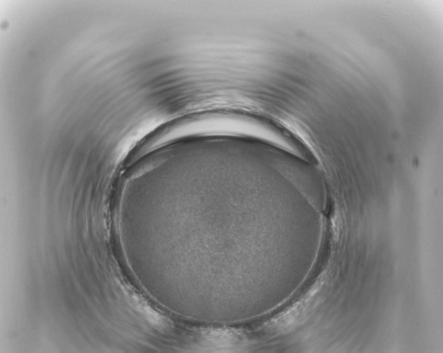 X0000088431018200705291519