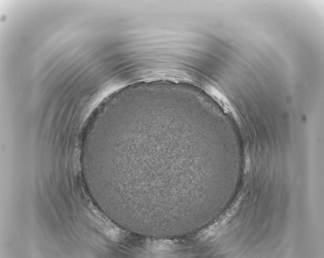 X0000088431019200705291519