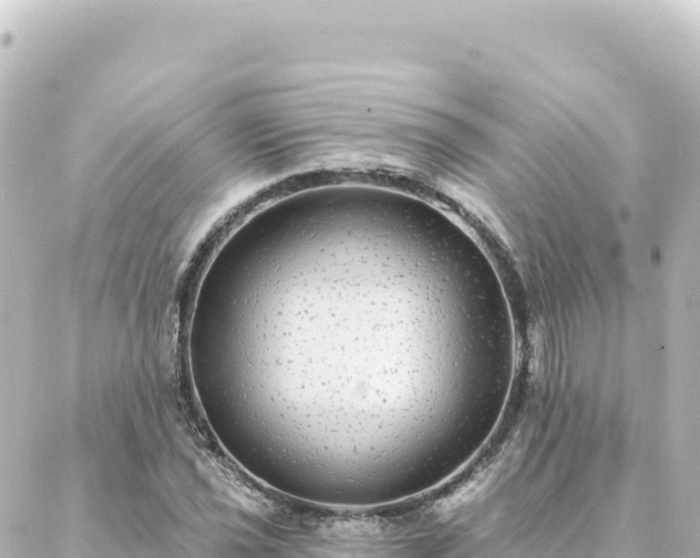 X0000088431021200705291519