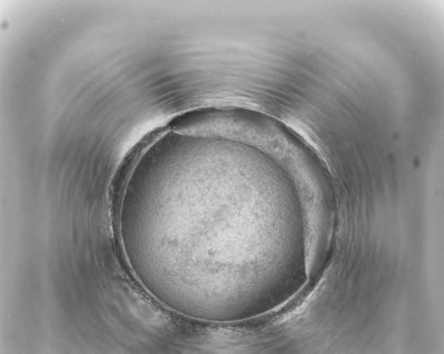 X0000088431022200705291520