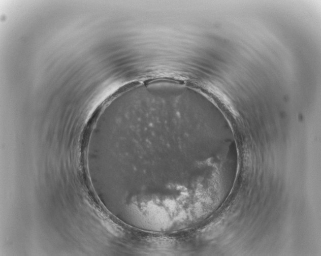 X0000088431023200705291520