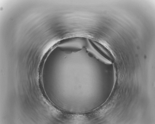 X0000088431024200705291520