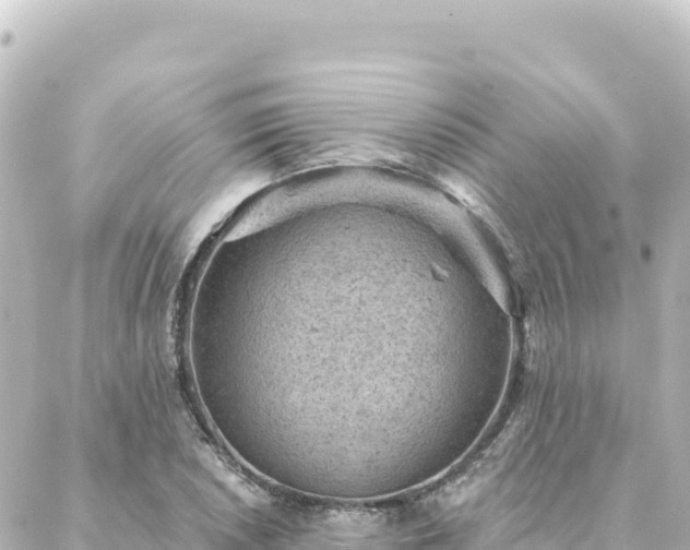 X0000088431026200705291520