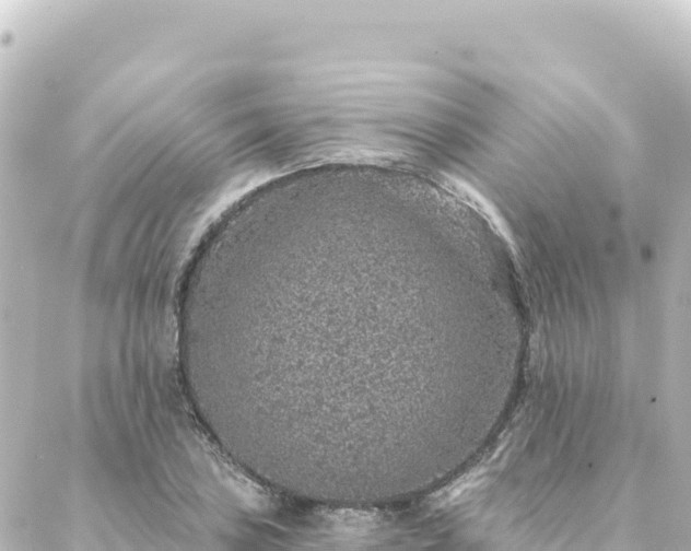 X0000088431027200705291520