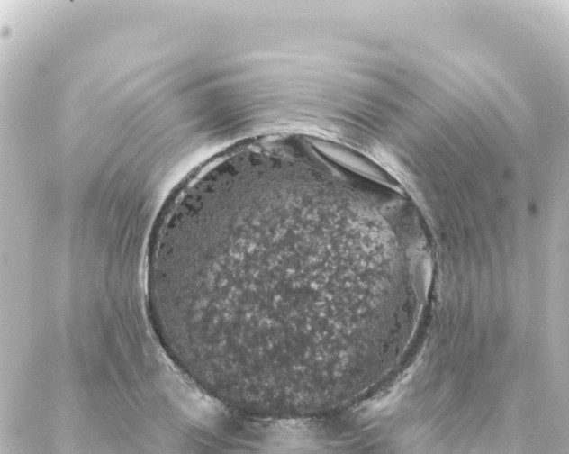 X0000088431028200705291520