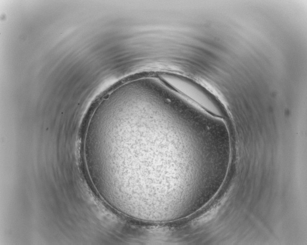 X0000088431029200705291520