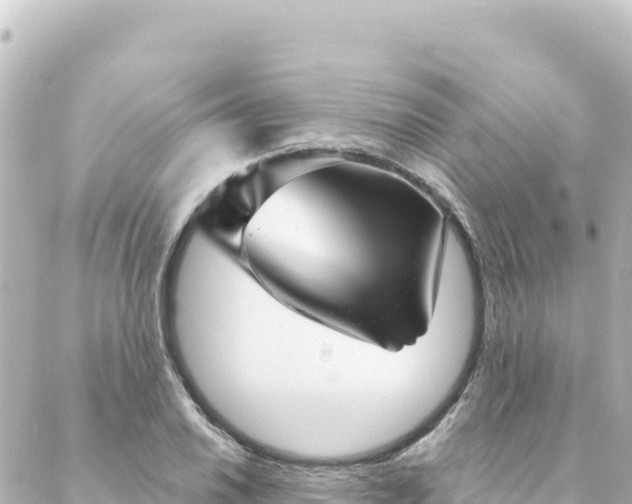 X0000088431030200705291520