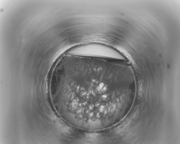 X0000088431031200705291520