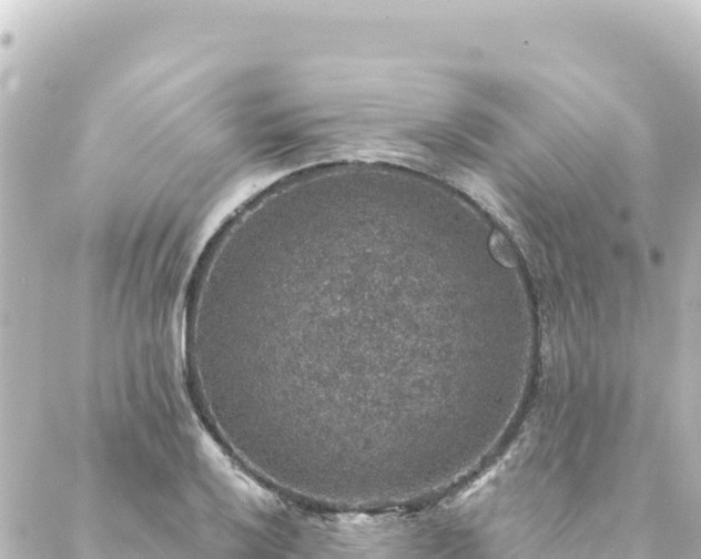 X0000088431032200705291520